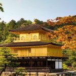 久しぶりの金閣寺 和の色 菖蒲と青紅葉が美しかった5月 | 今日